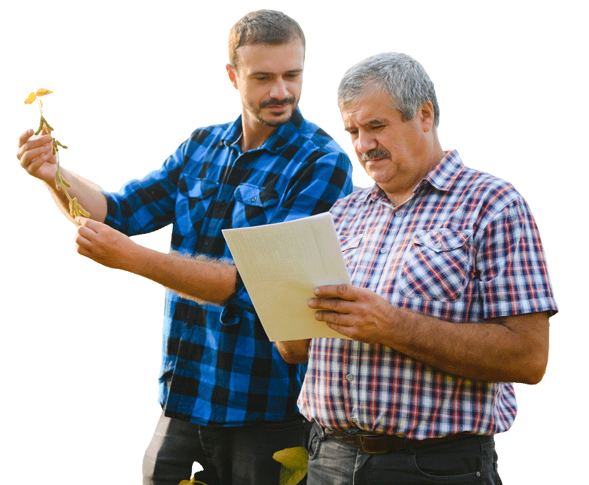 Webinar infographoic