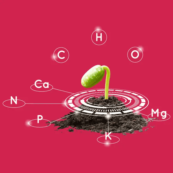 Our ReEarth Solutions