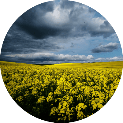 The ReEarth Movement image