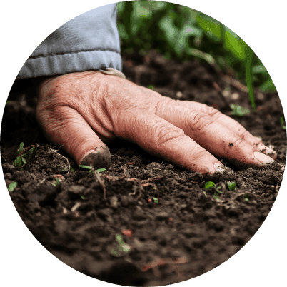 The ReEarth Movement image